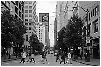 Pedestrian crossing and busses, downtown. Seattle, Washington ( black and white)