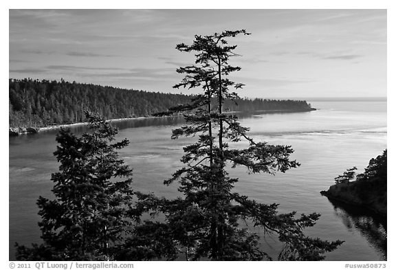 Deception Bay, Whidbey Island. Olympic Peninsula, Washington (black and white)