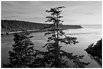 Deception Bay, Whidbey Island. Washington ( black and white)