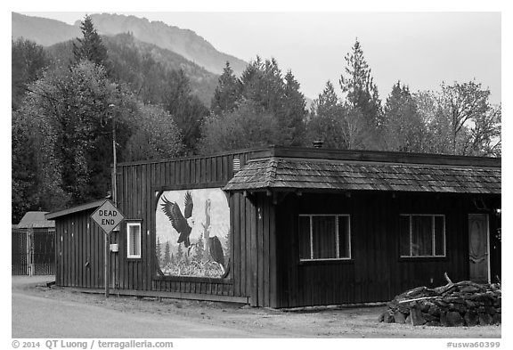 Wooden house with painted mural, Skagit Valley. Washington (black and white)