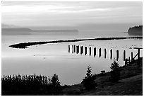 Foggy morning, Puget Sound. Olympic Peninsula, Washington ( black and white)