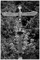 Totem Pole, Olympic Peninsula. Olympic Peninsula, Washington (black and white)
