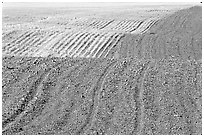 Undulating field with plowing patterns, The Palouse. Washington ( black and white)