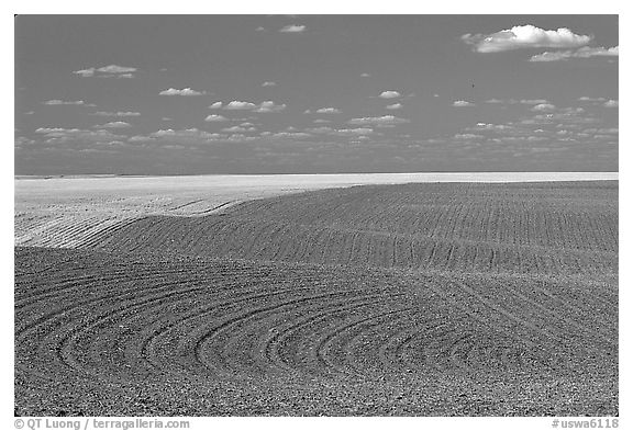 Field with curved plowing patterns, The Palouse. Washington (black and white)