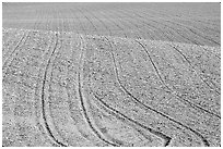 Field with curved plowing lines, The Palouse. Washington ( black and white)
