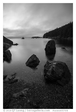 Watmough Bay at dawn, Lopez Island. Washington (black and white)