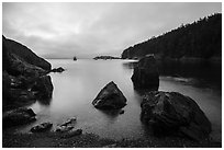 Rocks and Watmough Bay, Lopez Island. Washington ( black and white)