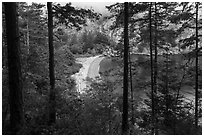 Beach through forest from above, Watmough Bay, Lopez Island. Washington ( black and white)
