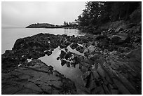 Tidepool, Watmough Bay, Lopez Island. Washington ( black and white)
