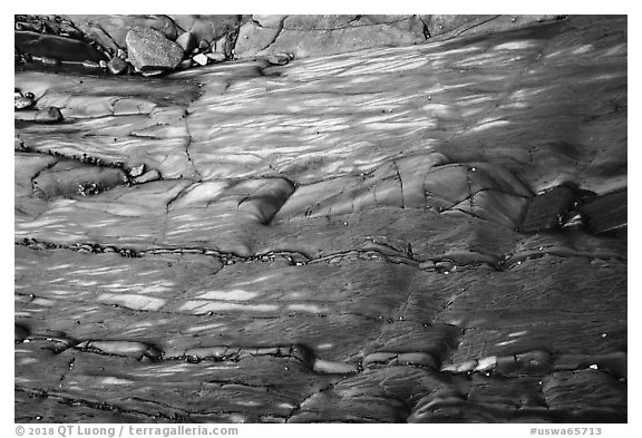 Polished slab and pebbles, Watmough Bay, Lopez Island. Washington (black and white)