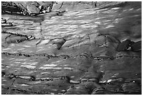 Polished slab and pebbles, Watmough Bay, Lopez Island. Washington ( black and white)