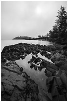 Rocky shore with pool and marine layer, Watmough Bay, Lopez Island. Washington ( black and white)