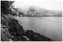 Watmough Bay in fog, Lopez Island. Washington ( black and white)