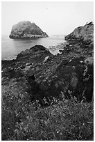 Point Colville, Lopez Island. Washington ( black and white)