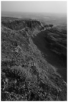 Wildflowers and cliff, Saddle Mountain, Hanford Reach National Monument. Washington ( black and white)