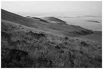 Rocks and grasses on hills and plain, Saddle Mountain Unit, Hanford Reach National Monument. Washington ( black and white)