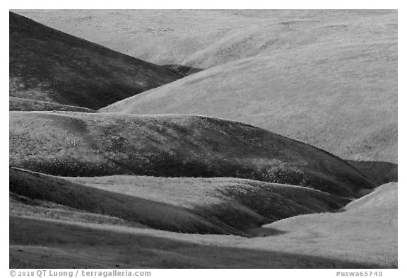 Grassy hills, Saddle Mountain Unit, Hanford Reach National Monument. Washington (black and white)