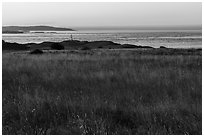 Meadow and Cattle Point Lighthouse, San Juan Islands National Monument, San Juan Island. Washington ( black and white)