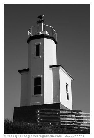 Cattle Point Lighthouse with perched bald eagle, San Juan Islands National Monument, San Juan Island. Washington (black and white)