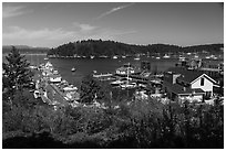 Port of Friday Harbor, San Juan Island. Washington ( black and white)