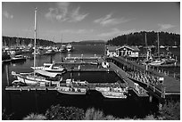 Marina, Friday Harbor, San Juan Island. Washington ( black and white)