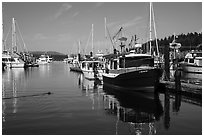 Friday Harbor marina with harbor seal, San Juan Island. Washington ( black and white)
