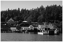 Orcas Ferry terminal, Orcas Island. Washington ( black and white)