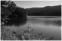Mountain Lake, Moran State Park. Washington ( black and white)