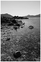 Indian Island shore, San Juan Islands National Monument, Orcas Island. Washington ( black and white)