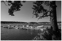 Pier, Fisherman Bay, Lopez Island. Washington ( black and white)