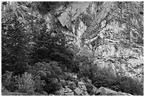 Cliffs, Watmough Bay, San Juan Islands National Monument, Lopez Island. Washington ( black and white)