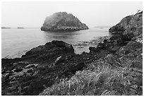 Castle Island from Point Colville, San Juan Islands National Monument, Lopez Island. Washington ( black and white)