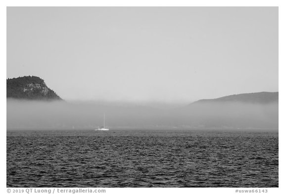 Sailboat and low fog, Salish Sea. Washington (black and white)