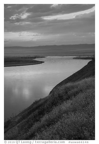 Grasses and Columbia River at sunset, Hanford Reach National Monument. Washington (black and white)