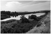 Banks of free-flowing section of Columbia River with verdant vegetation, Ringold Unit, Hanford Reach National Monument. Washington ( black and white)