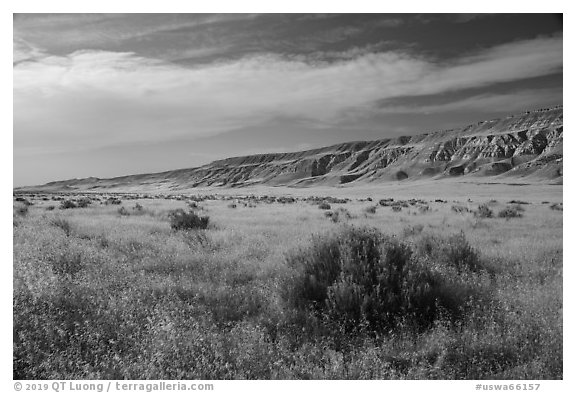 Grasses and cliffs in summer, Ringold Unit, Hanford Reach National Monument. Washington (black and white)