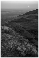 Saddle Mountain, sunrise, Hanford Reach National Monument. Washington ( black and white)
