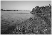 Columbia River grassy shore with reactor in background, Hanford Reach National Monument. Washington ( black and white)