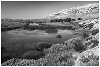 Savage Island channel wetlands and bluffs, Hanford Reach National Monument. Washington ( black and white)