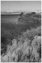 Columbia River at White Bluffs Landing with pelican, Hanford Reach National Monument. Washington ( black and white)