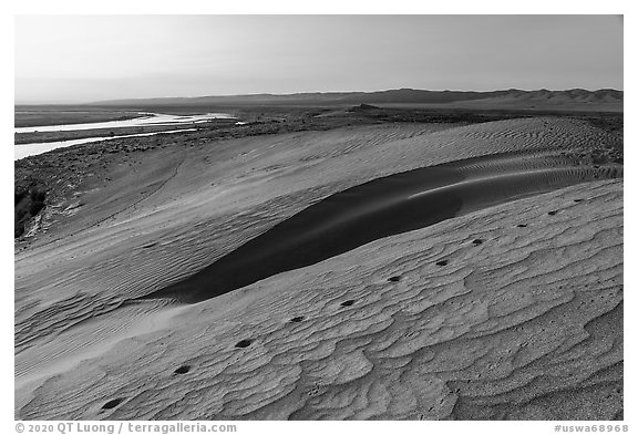 Animal tracks, sand dunes, and Locke Island, Hanford Reach National Monument. Washington (black and white)