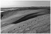 Animal tracks, sand dunes, and Locke Island, Hanford Reach National Monument. Washington ( black and white)