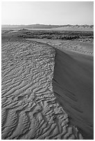 Crest of sand dunes, Hanford Reach National Monument. Washington ( black and white)