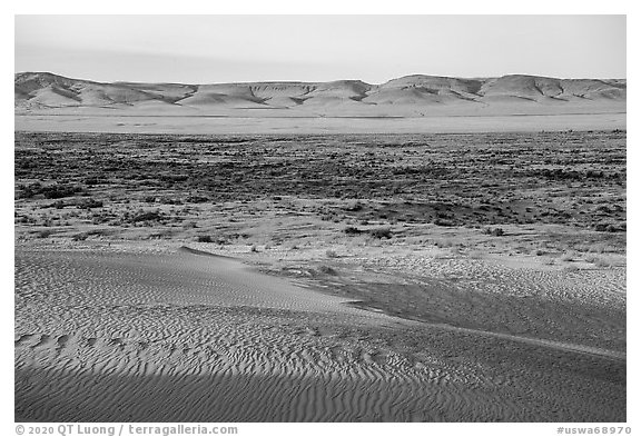 Sand dunes and Saddle Mountains, Hanford Reach National Monument. Washington (black and white)