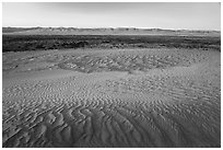 Sand ripples and Saddle Mountains at sunset, Hanford Reach National Monument. Washington ( black and white)