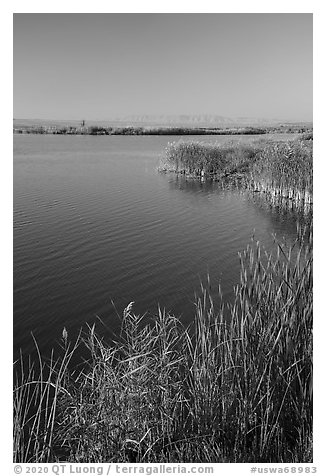 Wahluke Ponds, Hanford Reach National Monument. Washington (black and white)