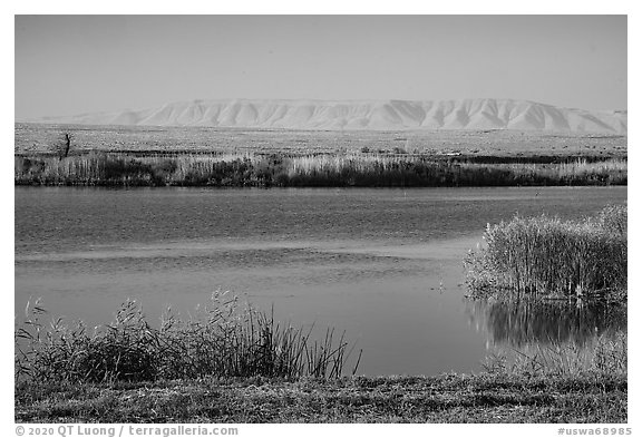 Wahluke Ponds and distant Rattlesnake Mountain, Hanford Reach National Monument. Washington (black and white)