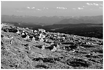 Alpine meadow and rocks, late afternoon, Beartooth Range, Shoshone National Forest. Wyoming, USA (black and white)