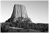 Monolithic igneous intrusion, Devils Tower National Monument. Wyoming, USA (black and white)