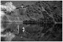 Fly fishermen, Snake River. Wyoming, USA (black and white)